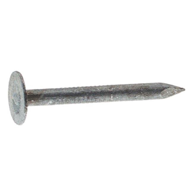 461462 1.75 in. Electro Galvanized Roofing Nail
